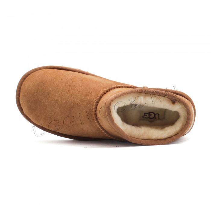 Tasman Slipper for Women Chestnut